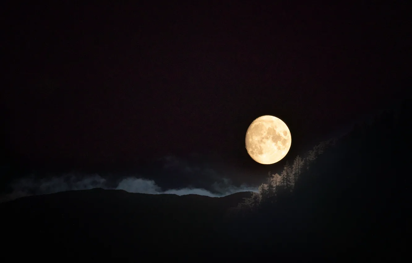 Фото обои ночь, природа, луна