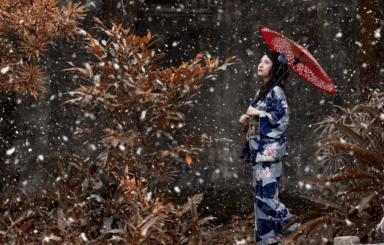 Фото обои девушка, ветки, зонт, Снег, кимоно, вгляд