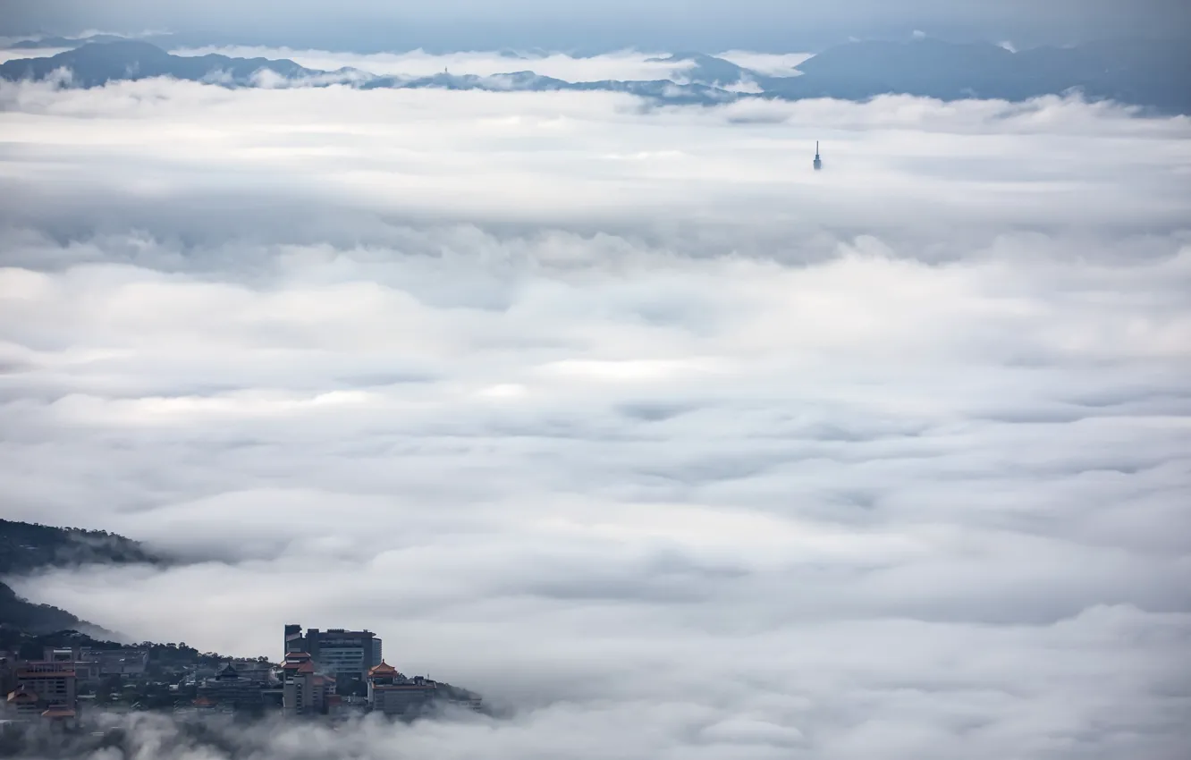 Фото обои природа, город, туман