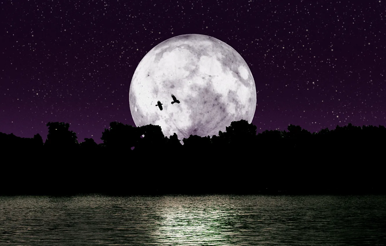 Фото обои звезды, деревья, птицы, ночь, природа, река, одиночество, луна