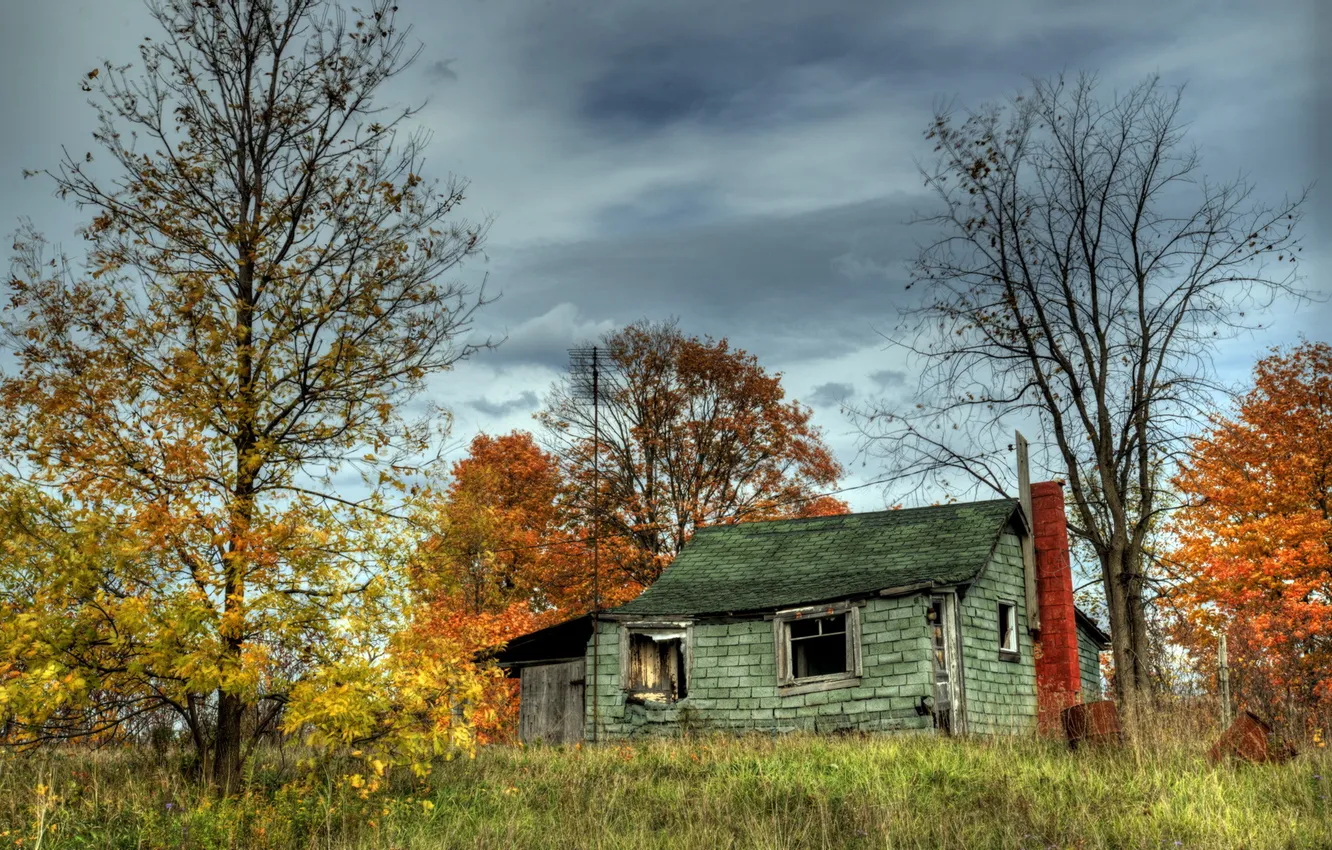 Фото обои осень, деревья, дом