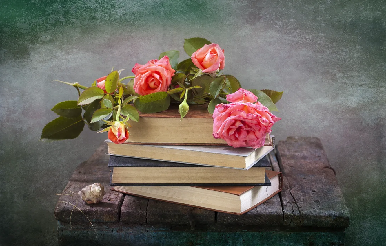 Фото обои цветы, доски, книги, розы, ракушка