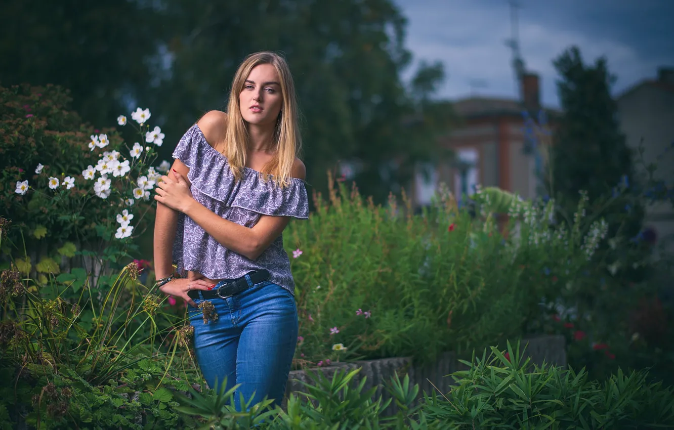 Фото обои девушка, модель, боке, Manon