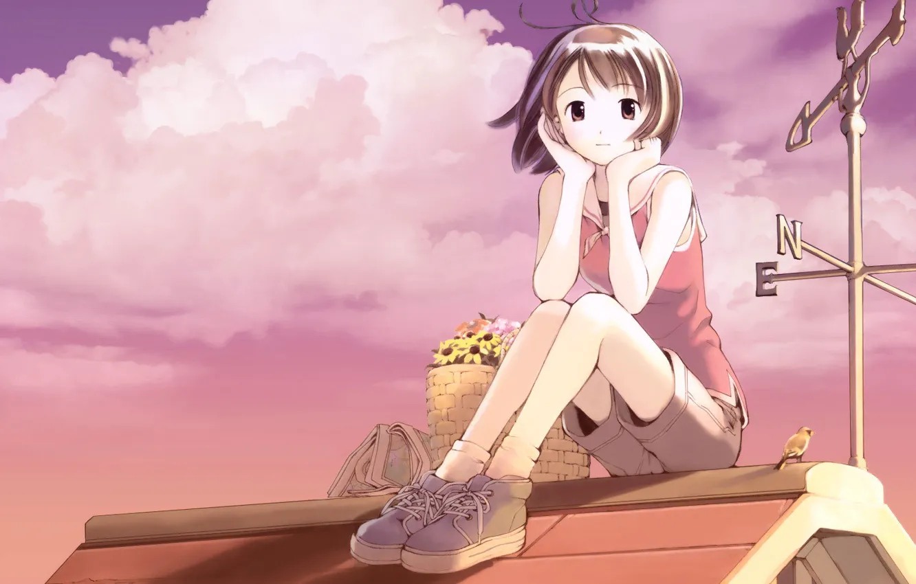 Фото обои крыша, цветы, аниме, девочка, корзинка