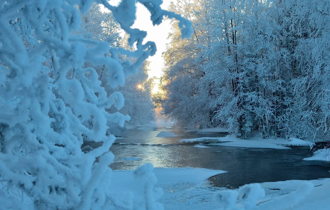 Фото обои зима, лес, солнце, снег, деревья, синева, речка