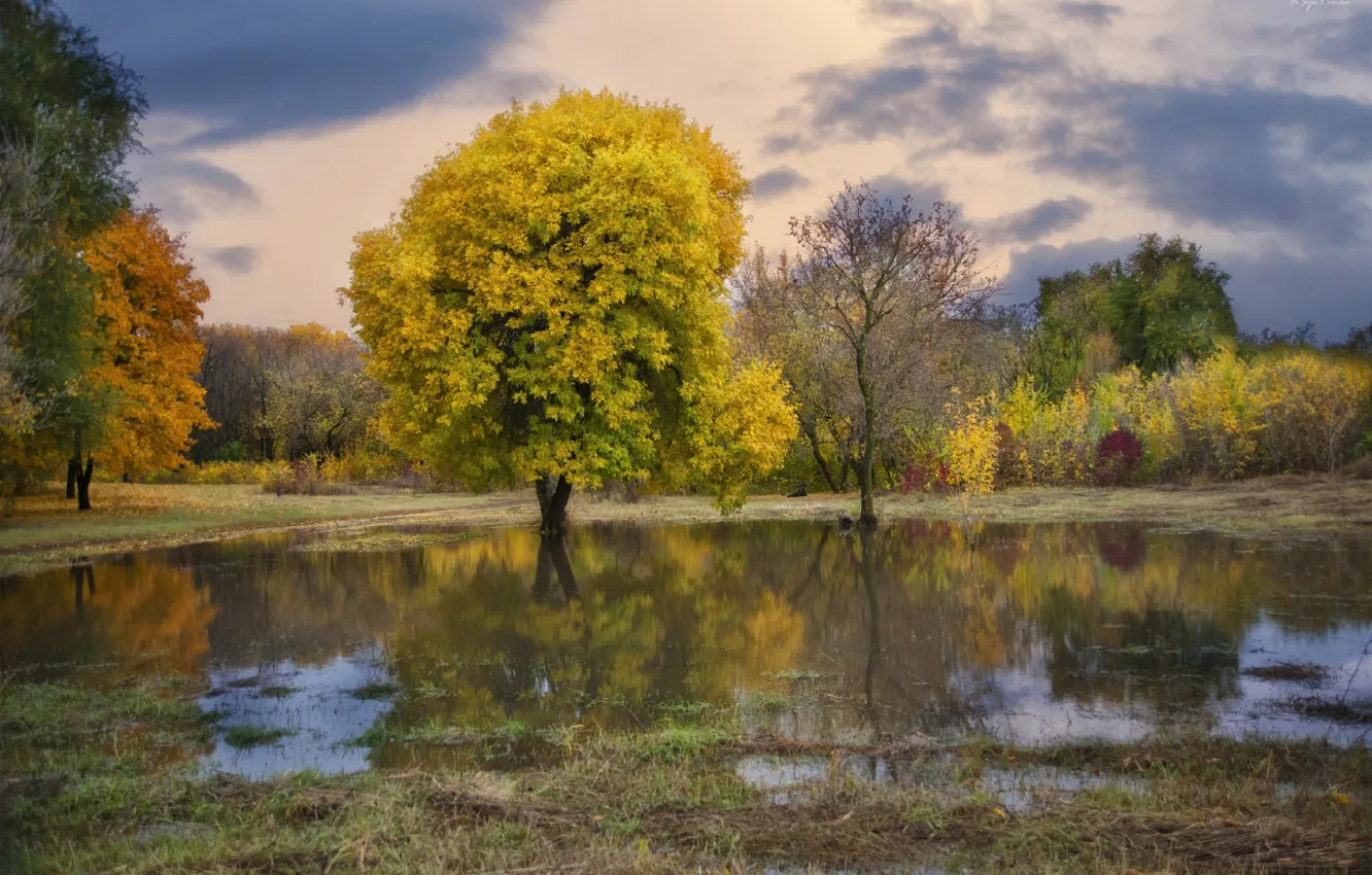Фото обои осень, деревья, природа, река, Roma Chitinskiy