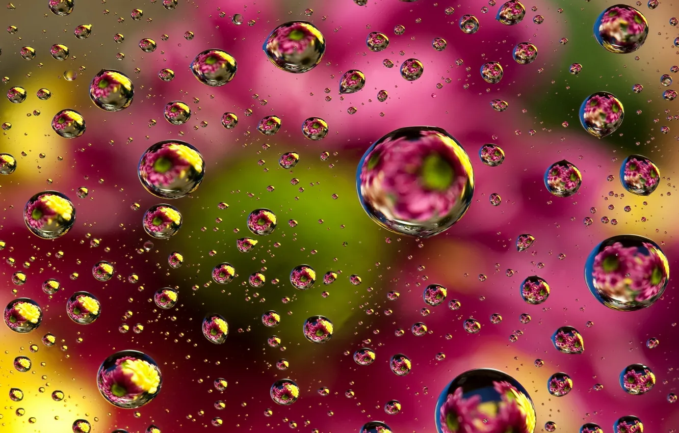 Фото обои абстракция, пузыри, фон, colors, colorful, abstract, bubbles, background
