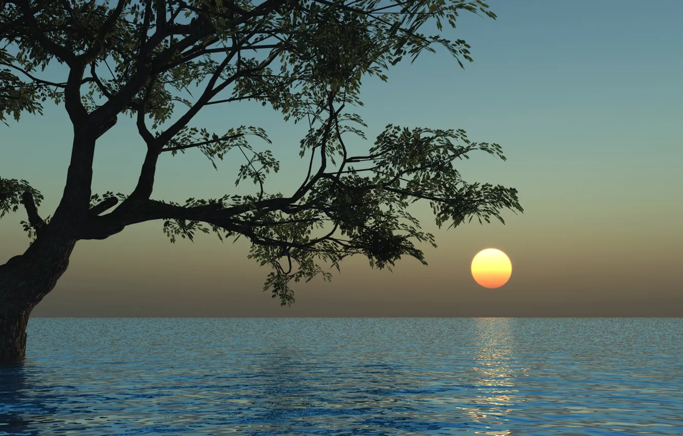Фото обои вода, солнце, закат, природа, дерево