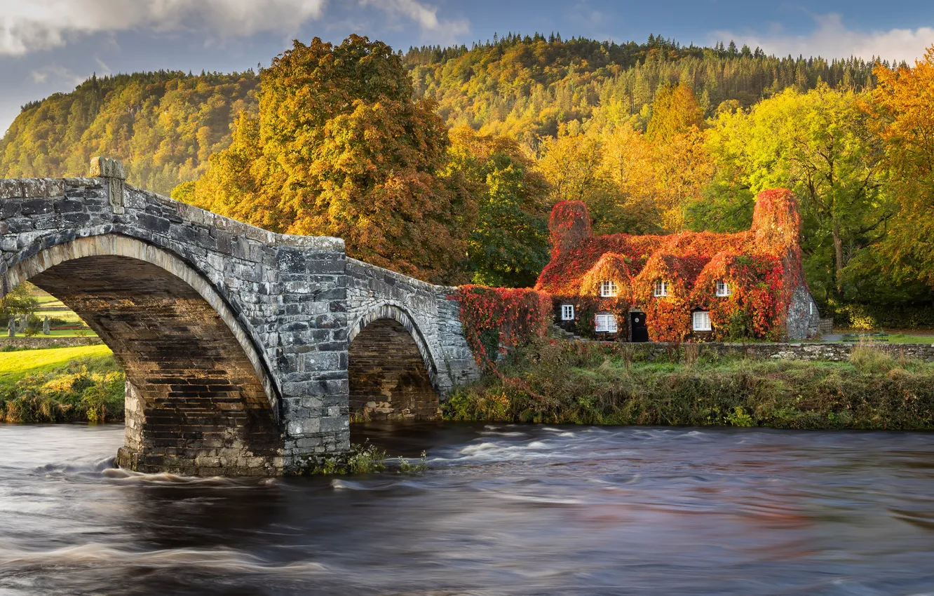 Фото обои осень, лес, свет, горы, мост, берег, домик, арки