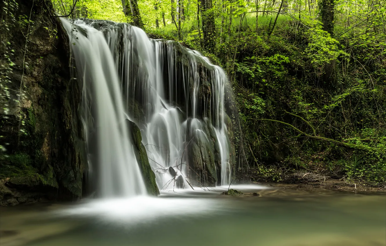 Фото обои лес, деревья, брызги, ручей, заросли, водопад, речка