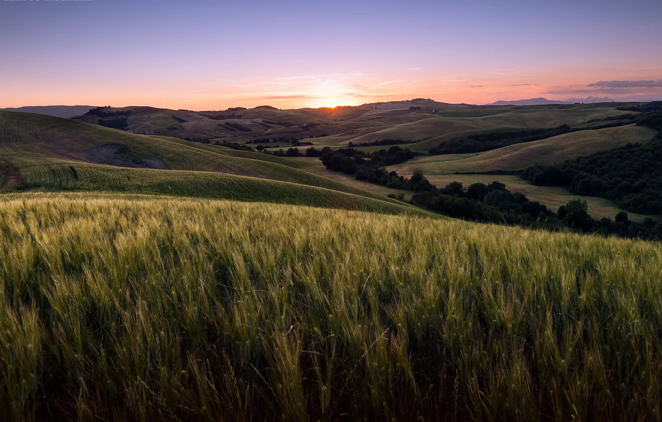 Фото обои поле, пейзаж, закат, Tuscany, Volterra
