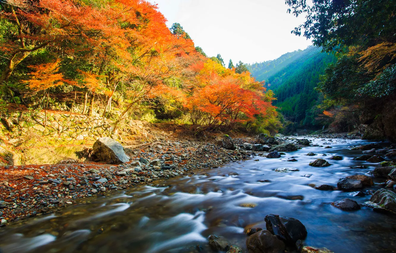 Фото обои осень, лес, небо, река, камни