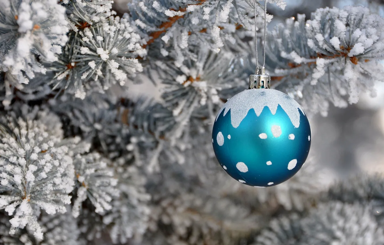 Фото обои снег, праздник, игрушка, елка, новый год, шар