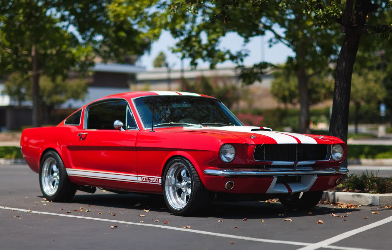 Фото обои Ford, Shelby, Red, 1967, GT350