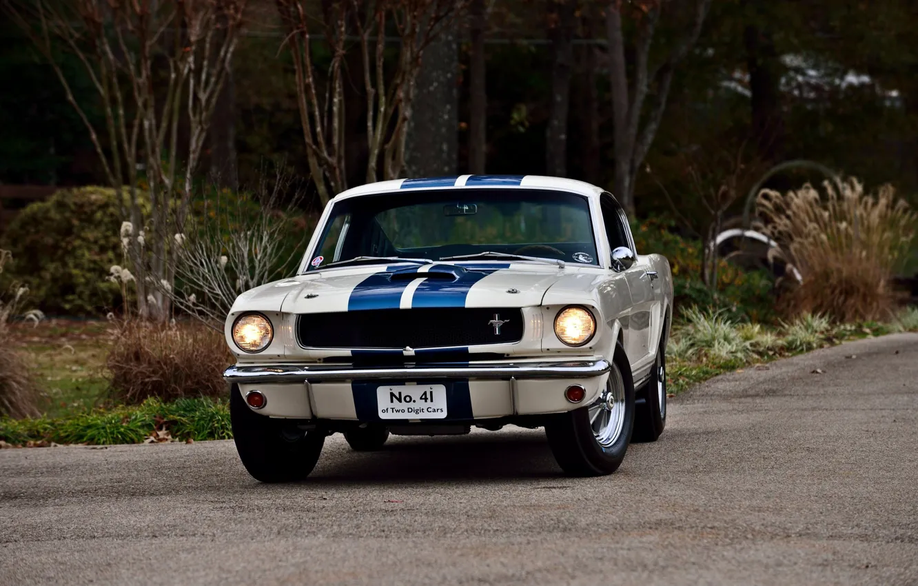 Фото обои Mustang, Ford, Fastback, muscle classic, 1965., Shelby GT 350