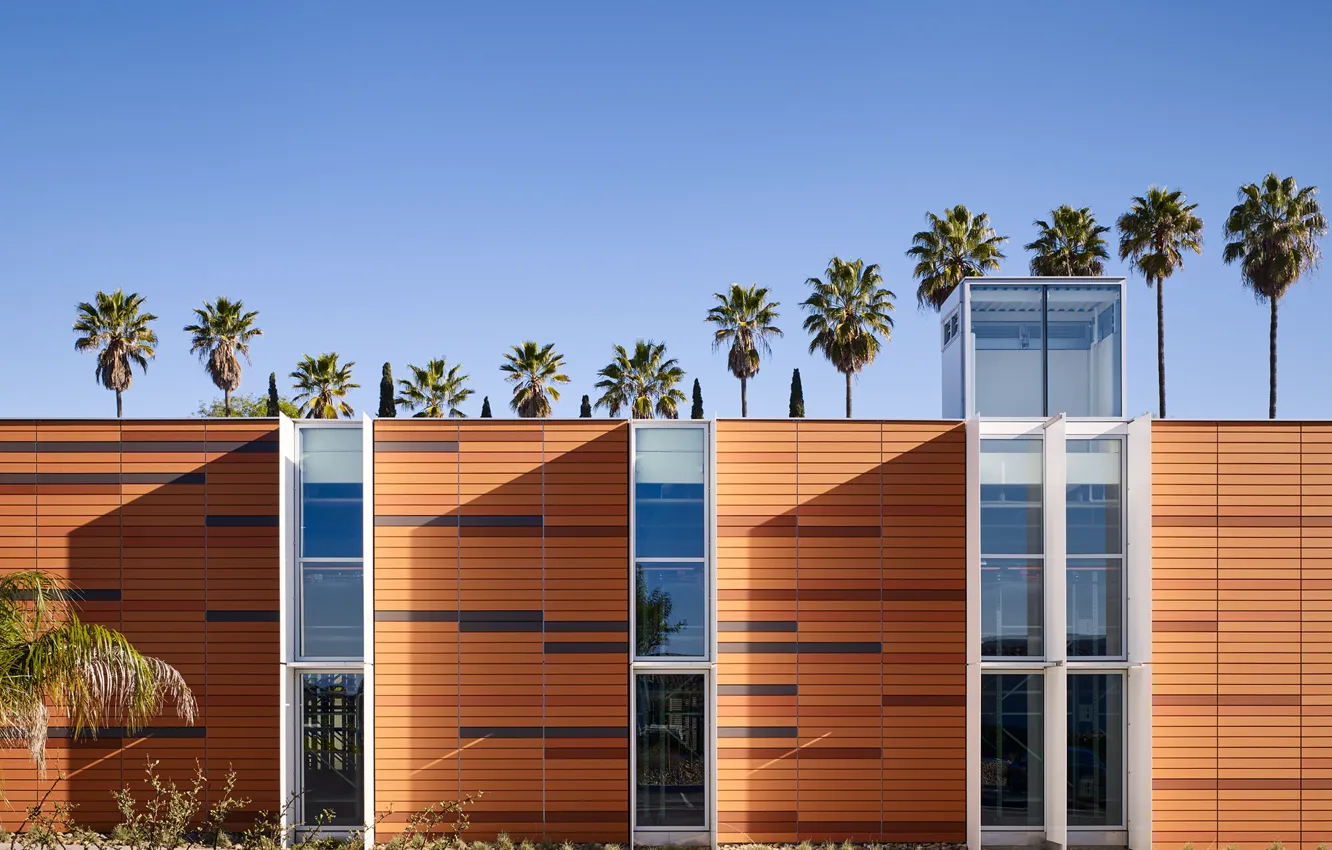 Фото обои небо, пальмы, архитектура, строение, Palomar Community College District