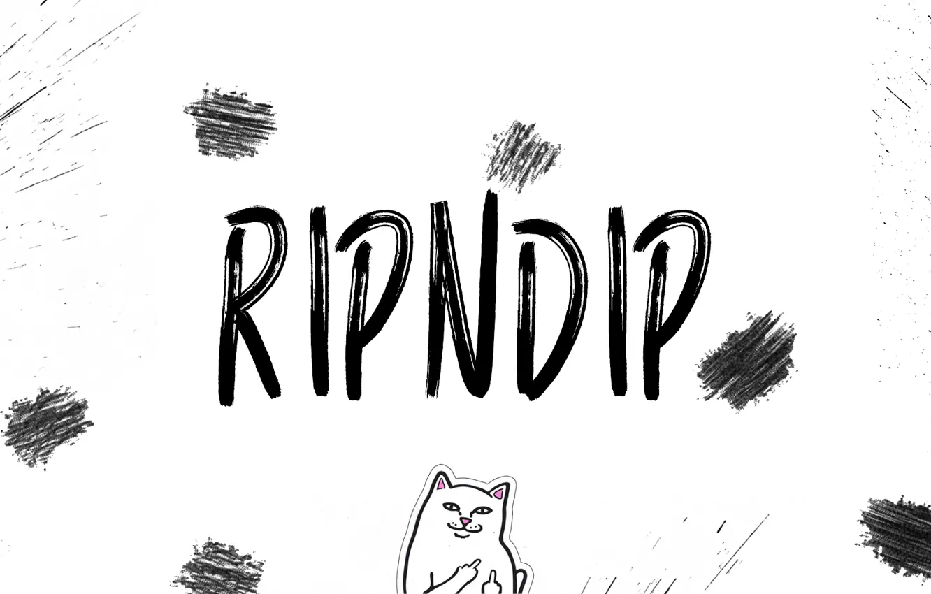 Фото обои белый, кот, брызги, коты, белый фон, фирма, марка, ripndip