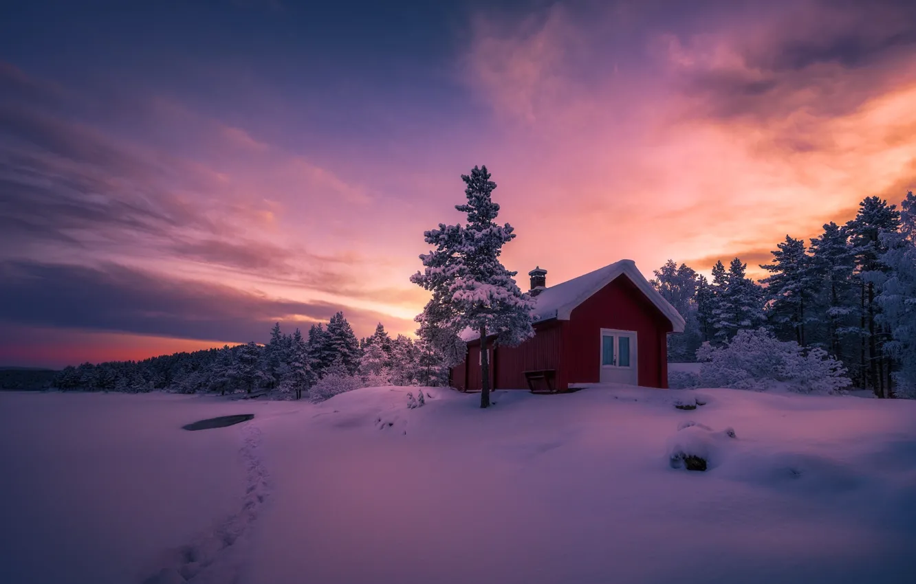 Фото обои зима, снег, закат, краски, тропа, вечер, домик