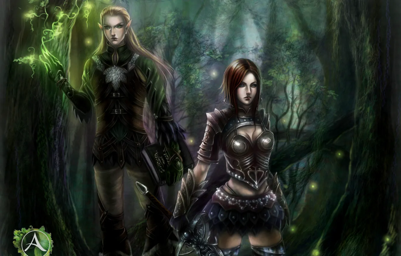 Фото обои лес, девушка, эльф, меч, арт, парень