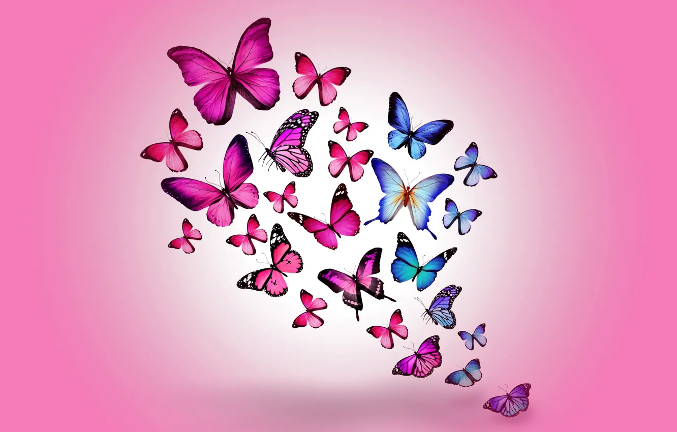 Фото обои бабочки, colorful, blue, pink, butterflies, design by Marika