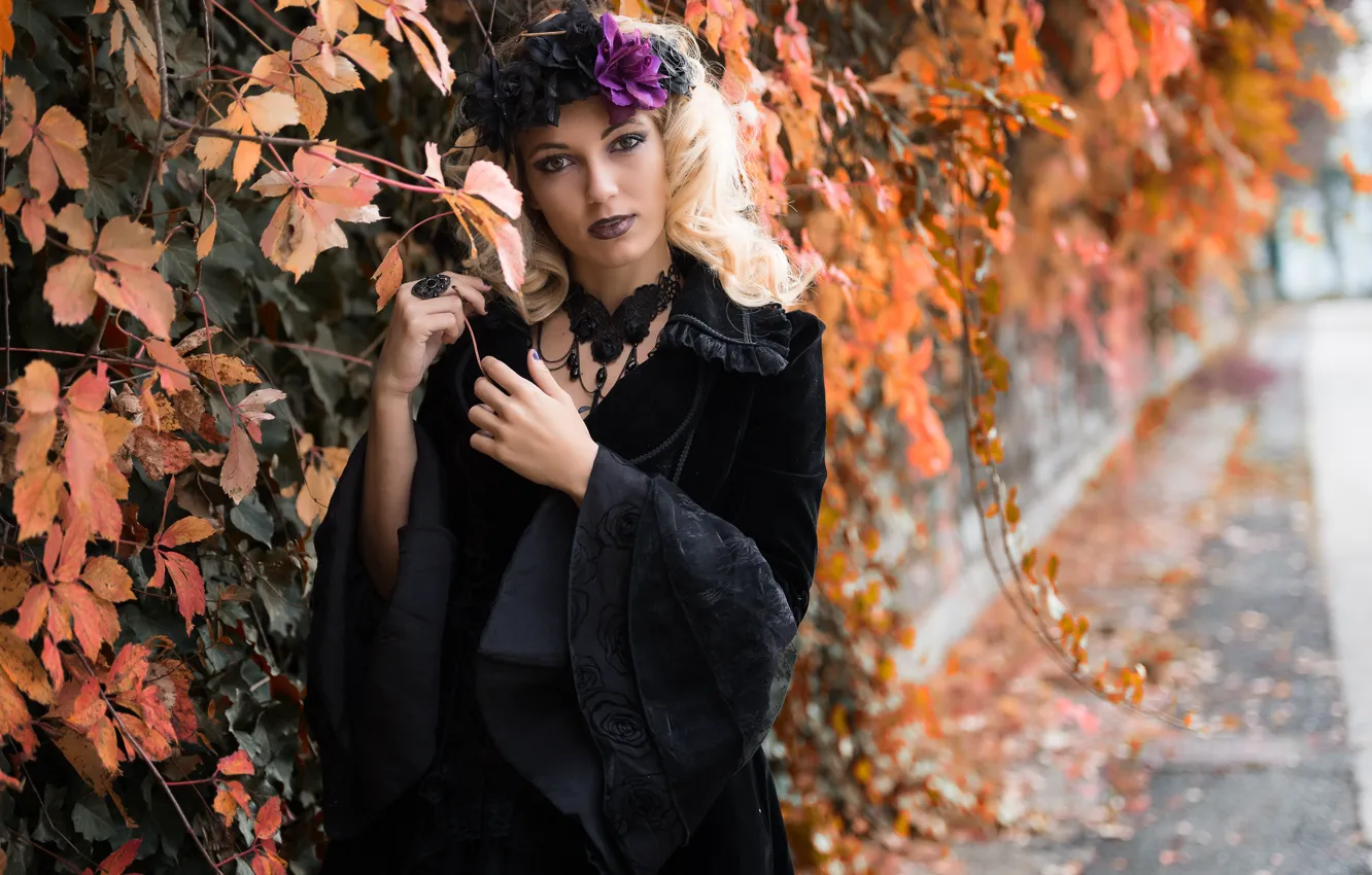 Фото обои девушка, лицо, фон, волосы, Deborah