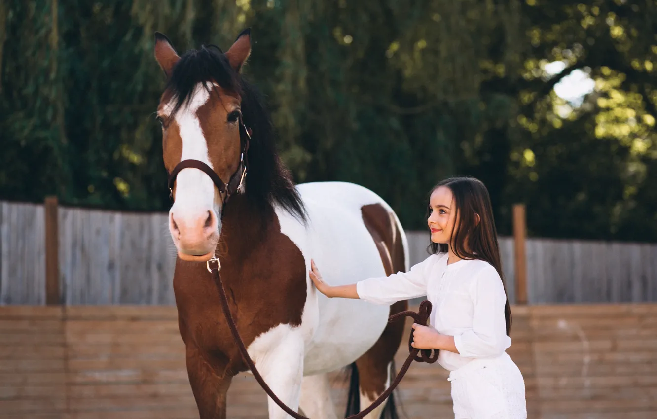 Фото обои дети, улыбка, конь, лошадь, забор, девочка, общение