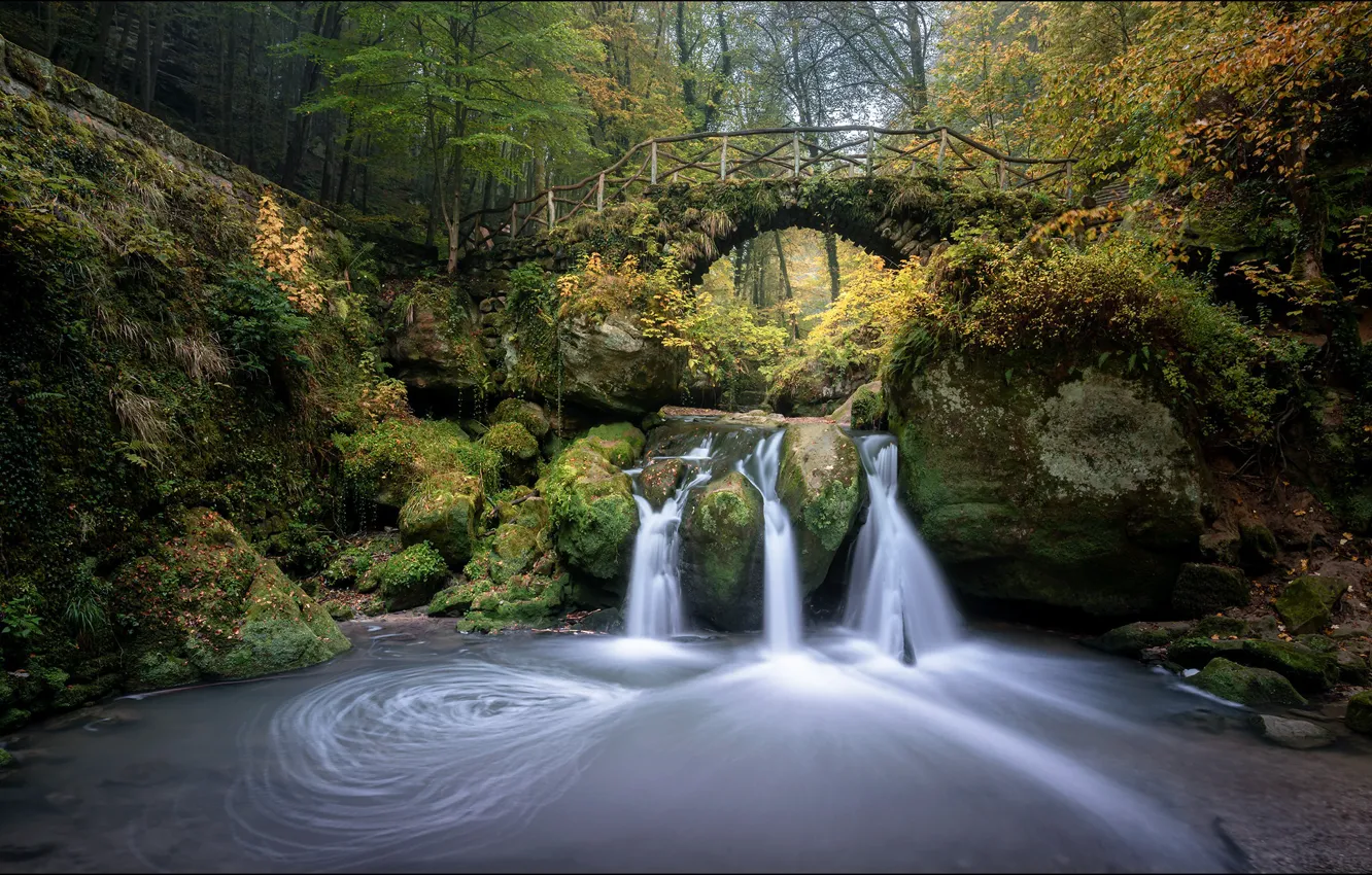 Фото обои осень, деревья, мост, водопады, Mullerthal, Georg Scharf