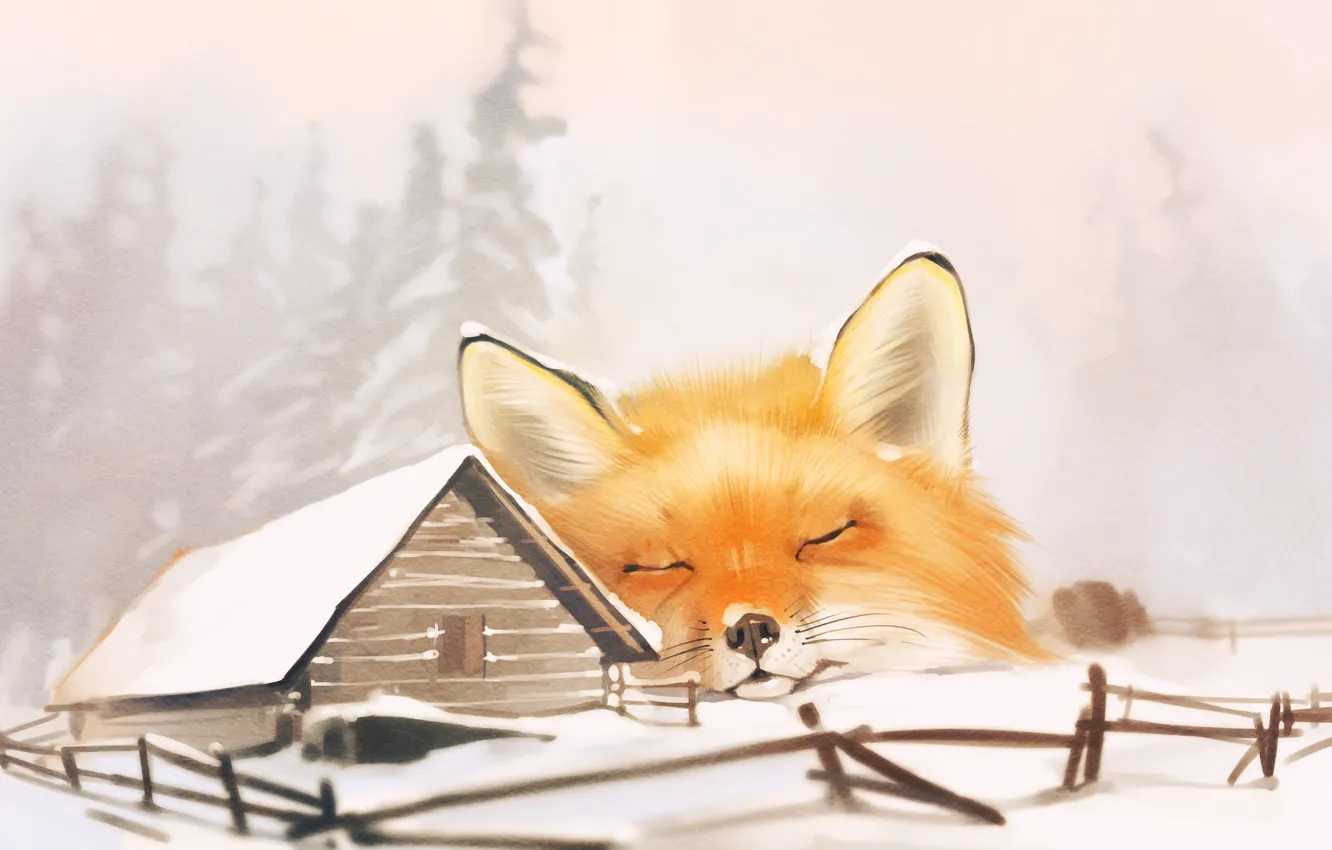 Фото обои дом, лиса, fox, winter