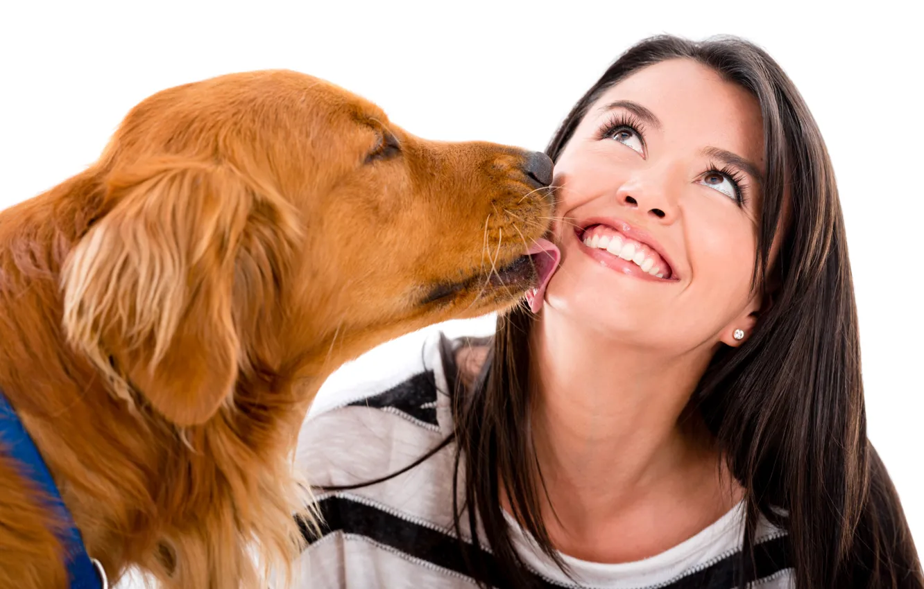 Фото обои девушка, радость, настроение, собака, брюнетка, белый фон, рыжая, ретривер