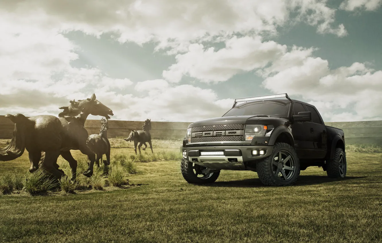 Фото обои поле, небо, чёрный, Ford, лошади, black, форд, Raptor