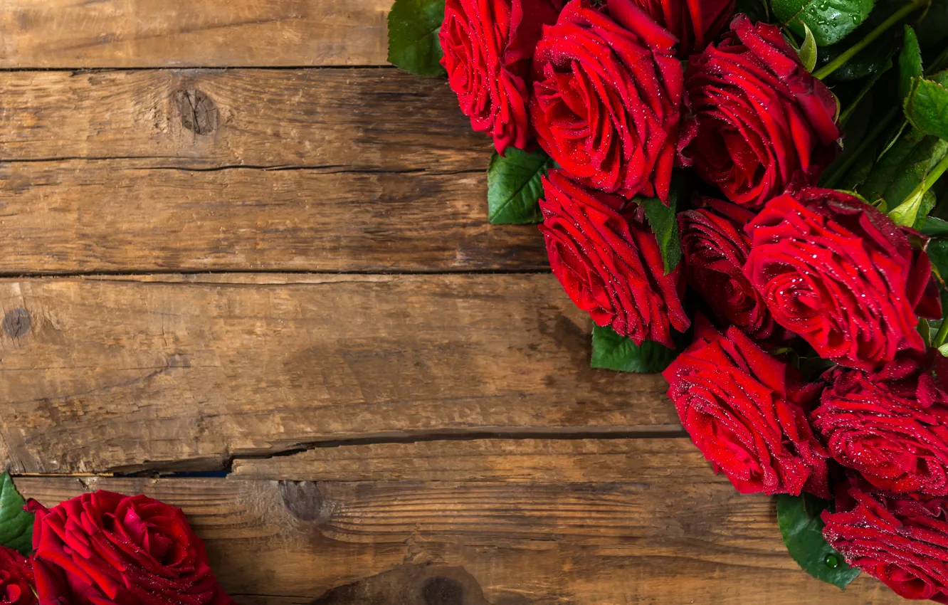 Фото обои розы, букет, красные, красивые