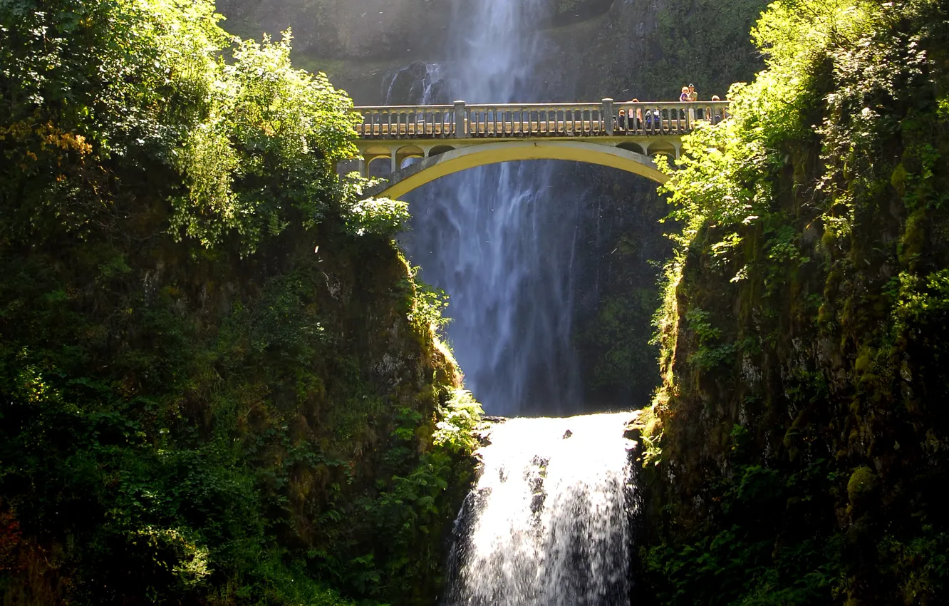 Фото обои солнце, мост, скала, обрыв, водопад, США, кусты, Multnomah waterfalls