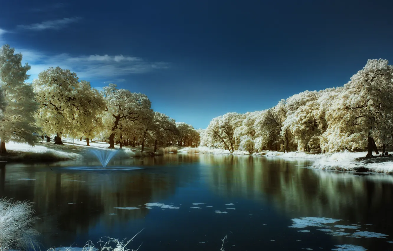 Фото обои зима, синий, озеро, дерево, blue, winter, lake, tree