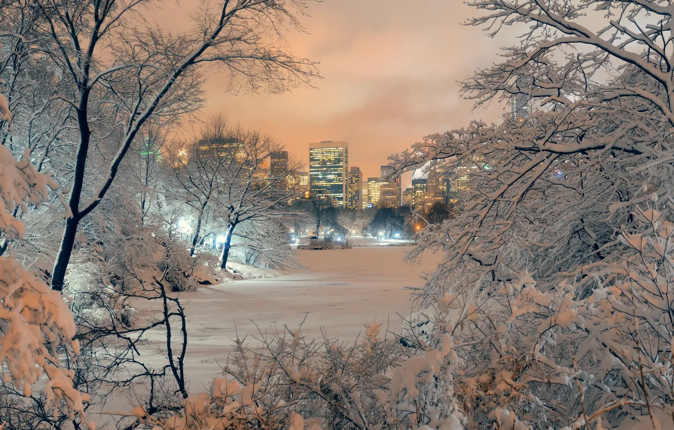 Фото обои зима, снег, деревья, city, парк, landscape, New York, Manhattan