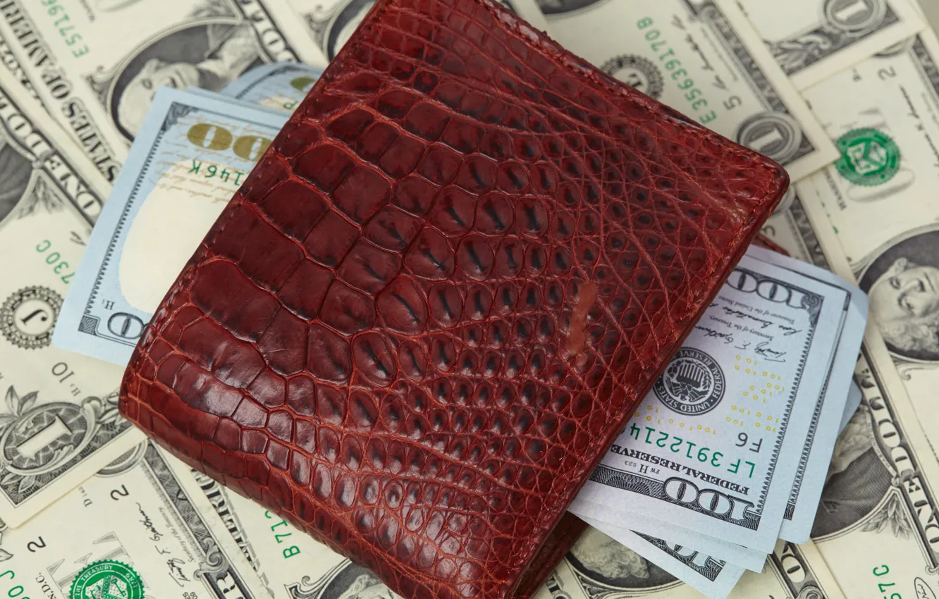 Фото обои money, wallet, crocodile skin