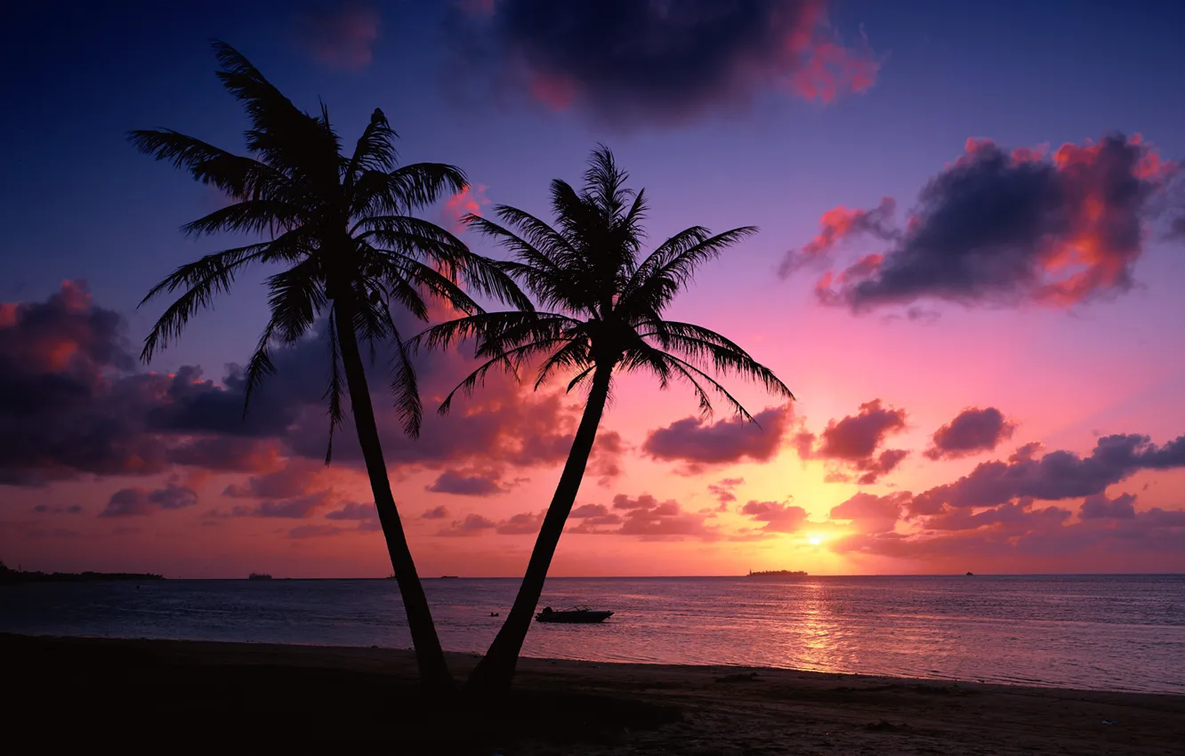 Фото обои море, пляж, облака, закат, пальмы, побережье, пейзажи, вечер