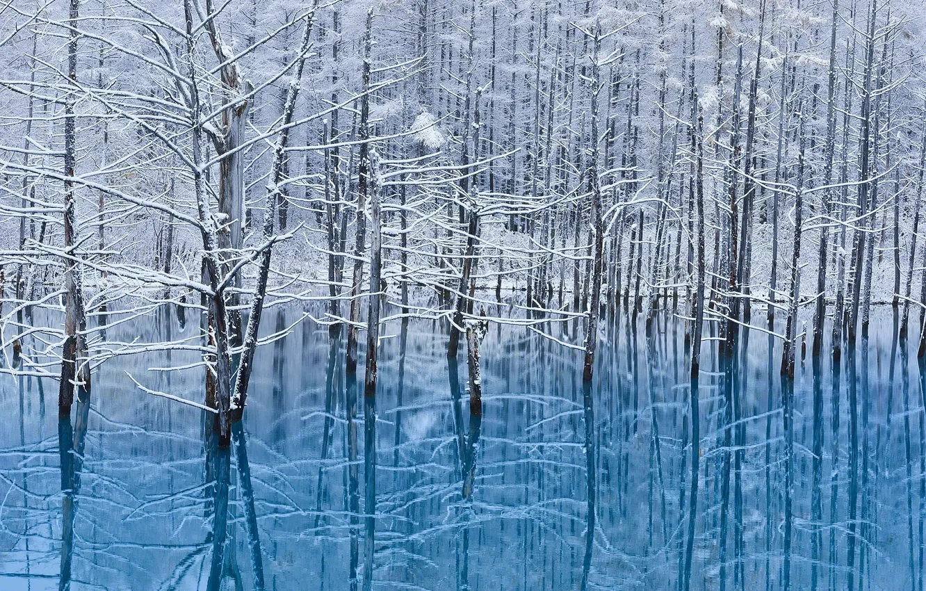 Фото обои зима, вода, снег, отражения, деревья, остров, Япония, Хоккайдо