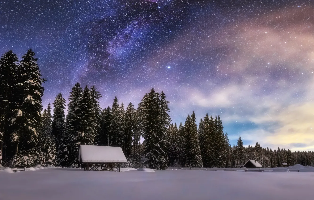 Фото обои зима, лес, небо, звезды, снег, ночь