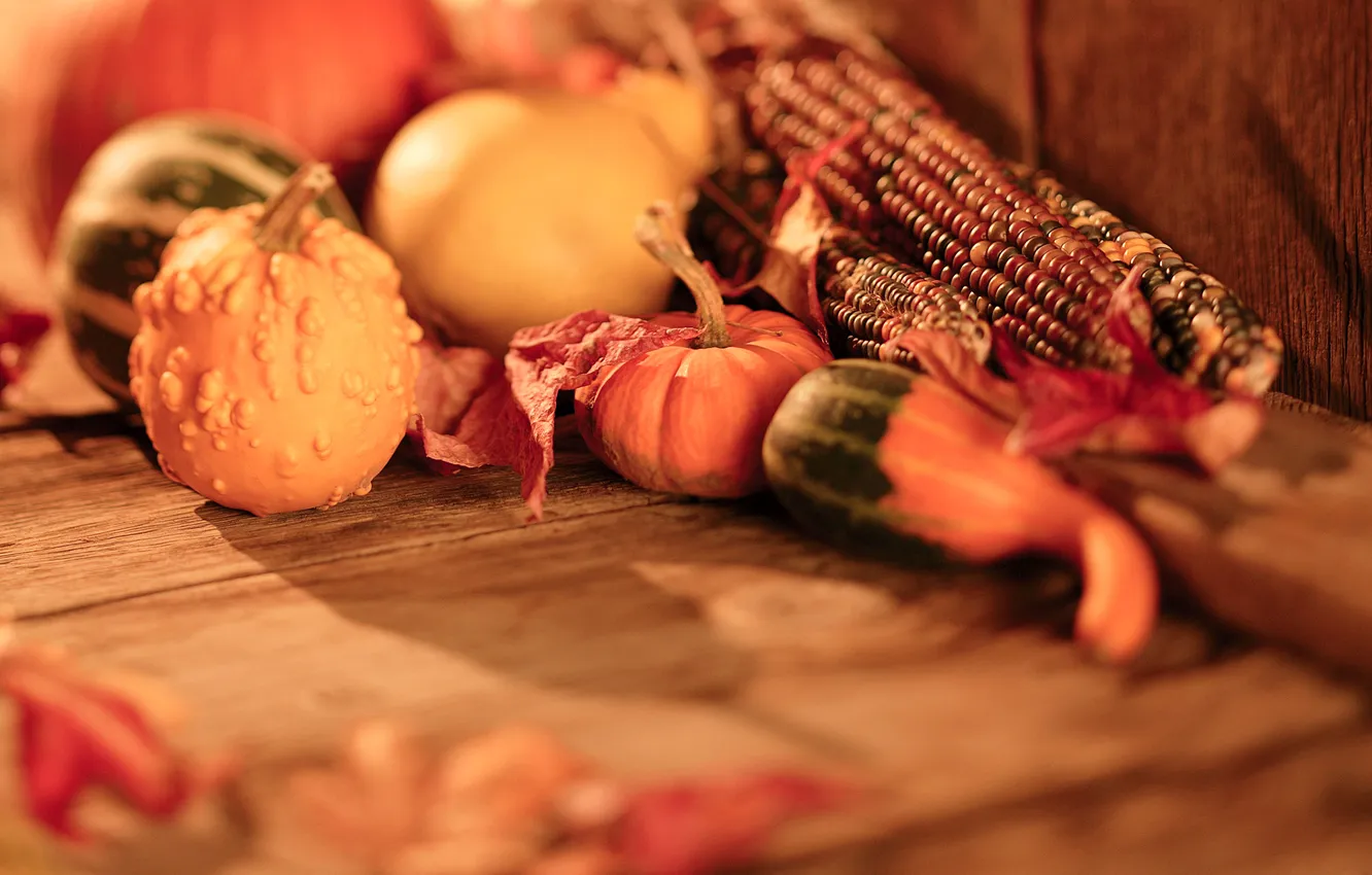 Фото обои осень, кукуруза, урожай, тыква, овощи