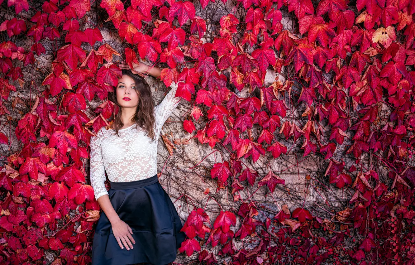 Фото обои взгляд, листья, девушка, модель, волосы, Cathy