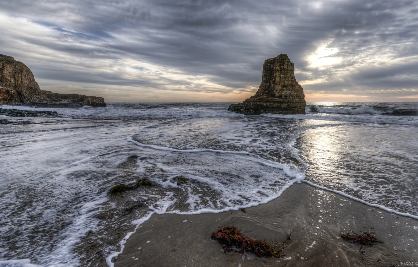 Фото обои скалы, Калифорния, Pacific Ocean, California, Тихий океан, Давенпорт, Davenport