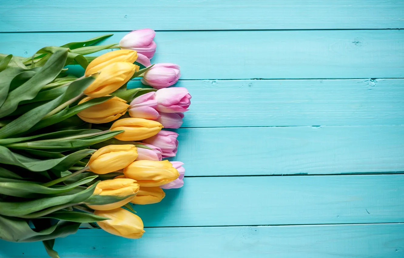 Фото обои фон, голубой, желтые, тюльпаны, розовые