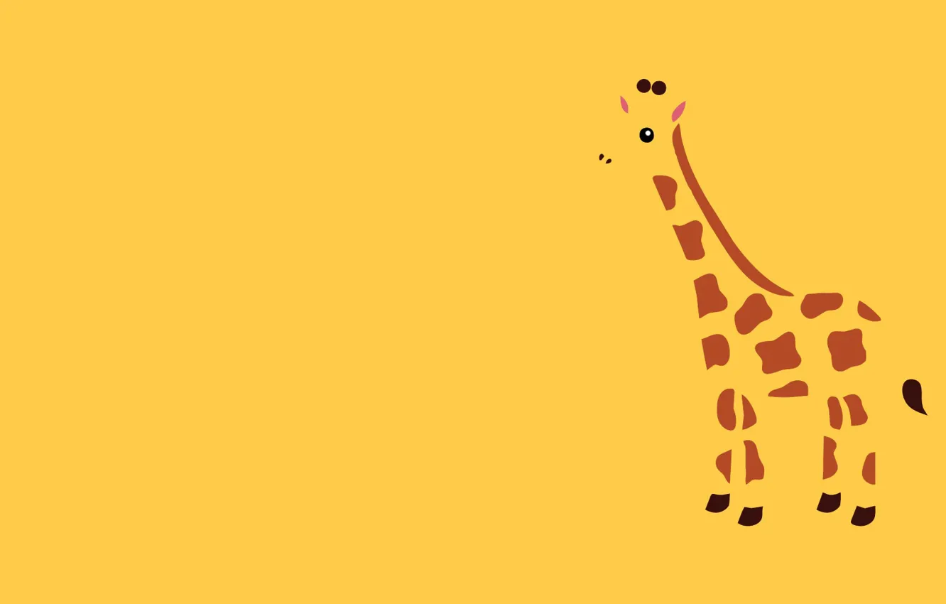 Фото обои животное, Минимализм, жираф