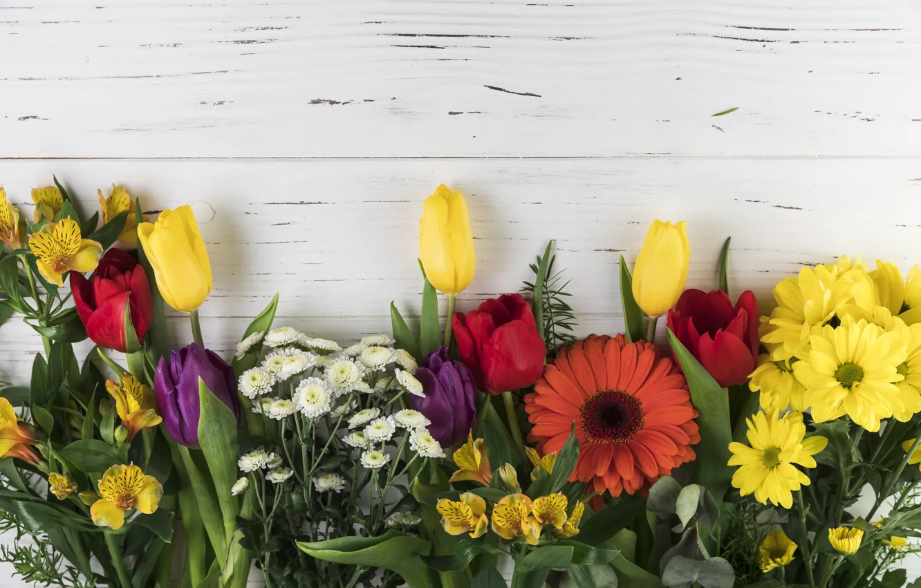 Фото обои цветы, colorful, тюльпаны, хризантемы, wood, flowers, beautiful, tulips