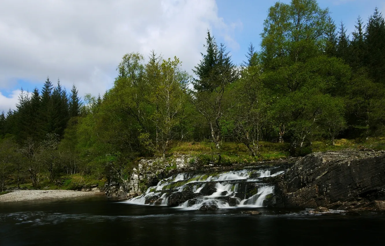 Фото обои лес, деревья, река, Шотландия, каскад, Scotland, River Orchy