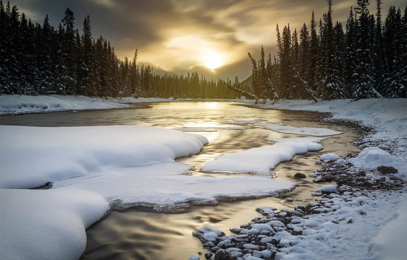 Фото обои зима, лес, снег, закат, река, Канада, Альберта, Banff National Park