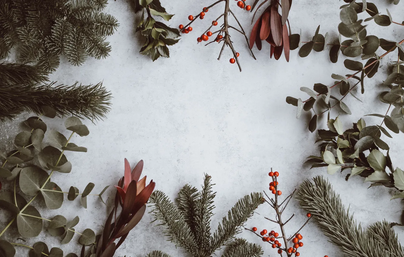 Фото обои Christmas, Branches, Annie Spratt