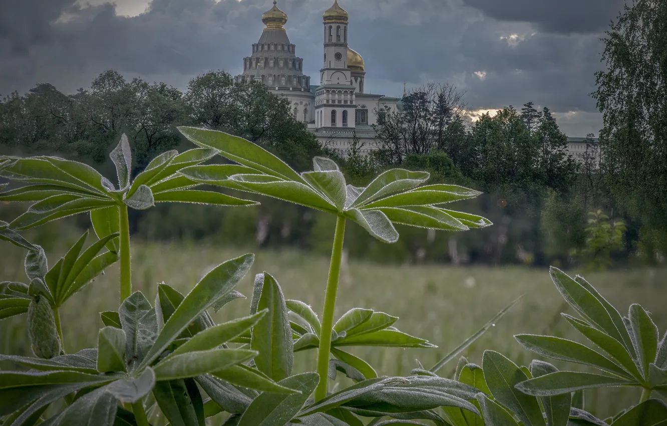 Фото обои пейзаж, природа, храм, монастырь, Истра, Елена Гусева, Ново-Иерусалимский монастырь