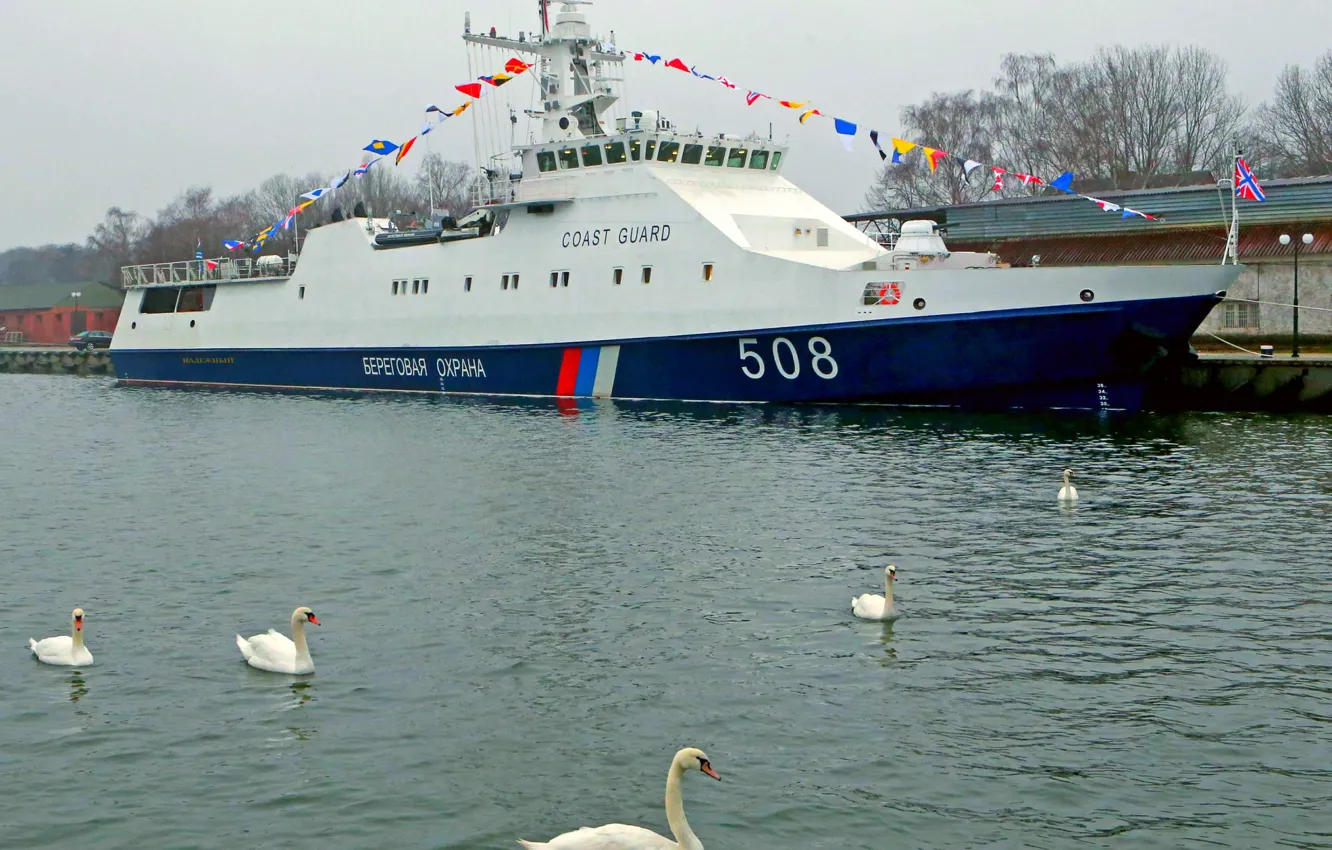 Фото обои лебеди, Балтийск, сторожевик, Надежный, проект 2340