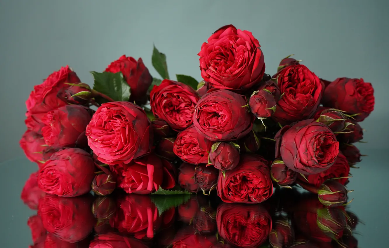 Фото обои букет цветов, флора, красные цветы, red flowers, flora, bouquet of flowers, Алекке Блажин, роза ред …